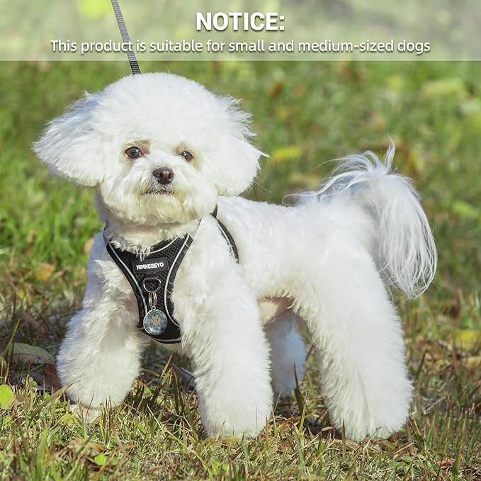 Dog Harness and Leash Set, Dog Harness for Dogs No Pull, No-Chock Step-in Reflective Breathable Lightweight Easy Walk Vest Harnesses with Safety Buckle for Small Medium Dogs, Cats (Black, XL)