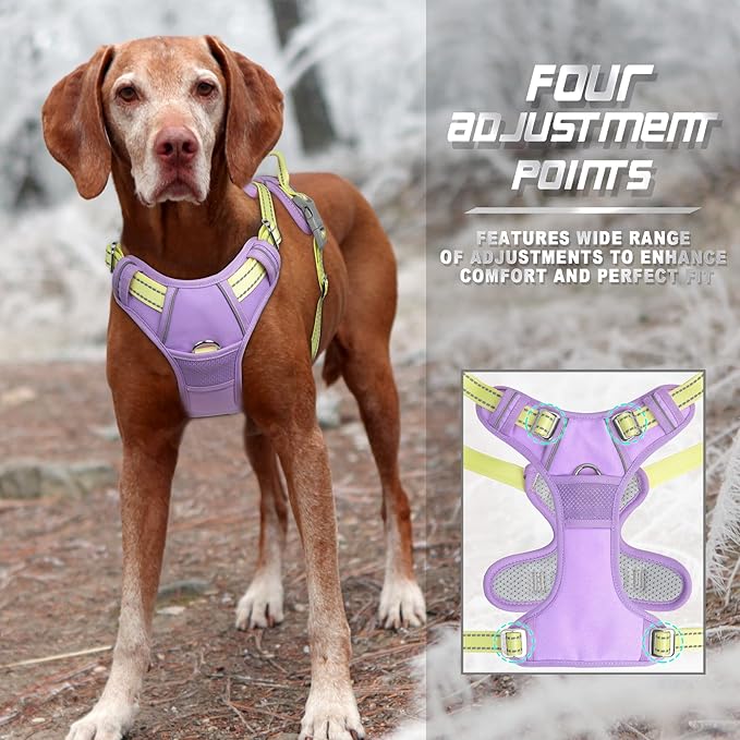 BARKBAY No Pull Dog Harness Front Clip Heavy Duty Reflective Easy Control Handle for Large Dog Walking(Violet Purple & Sunlight,M)