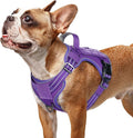 rabbitgoo Dog Harness Small Sized No Pull, Tactical Service Pet Vest with Molle and Control Handle, Adjustable and Reflective Military Harness for Easy Walking and Training, Purple, S