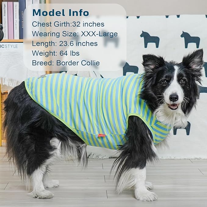 KYEESE 2Pack Dog Shirts Striped T Shirt for Medium Dogs Boy Lightweight Sleeveless Vest Cotton Tank Top Clothes, XX-Large,Blue+Striped
