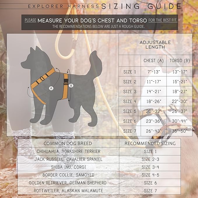 MADE TO ROAM Premium Explorer Harness - Y-Shaped Dog Harness with Adjustable Durable Nylon, Soft Padding, Metal Buckles and Leather Handle for Small, Medium, Large Dogs (Arizona Heartbeat, Size 3)