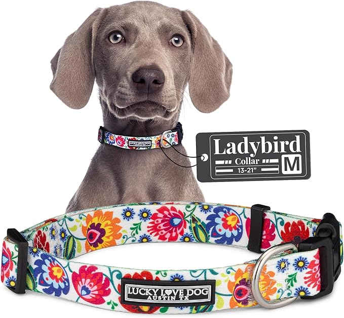 Lucky Love Dog - Adjustable Dog Collar with Easy Click Buckle for Small to Large Ones, Durable, & Comfortable for Male & Female Dogs, Pet Collar for Puppies & Adult Dogs - Ladybird, Medium
