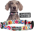 Lucky Love Dog - Adjustable Dog Collar with Easy Click Buckle for Small to Large Ones, Durable, & Comfortable for Male & Female Dogs, Pet Collar for Puppies & Adult Dogs - Ladybird, Medium
