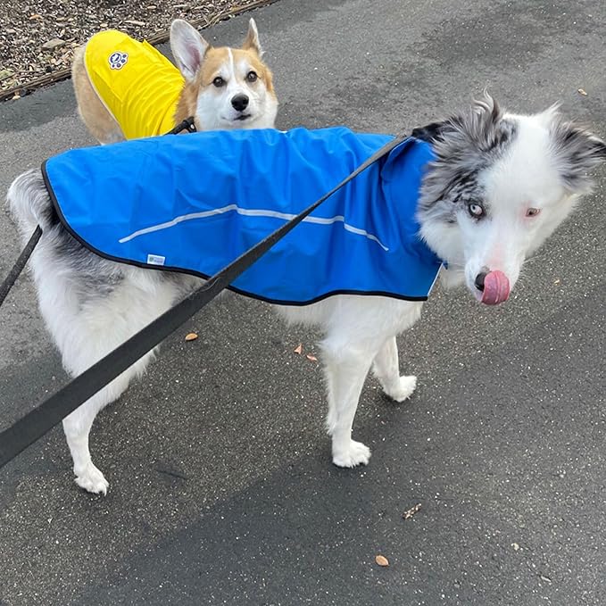 Mile High Life Dog Raincoat, Adjustable Waterproof Reflective Rain Jacket for Small Medium Large Dogs, Lightweight Breathable Pet Rain Coat with Leash Hole(Blue,M Chest 26-32")