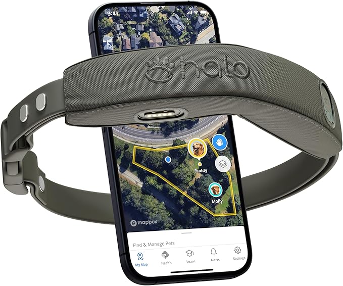 Halo Collar 4, GPS Wireless Dog Fence & Dog Training Collar with GPS Tracker, Subscription Required, Waterproof, Graphite, One Size