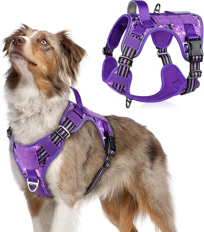 rabbitgoo Tactical Dog Harness Medium Sized Dog, No Pull Military Service Vest with Handle & Molle, Easy Control for Training Walking, Adjustable Reflective Straps, Purple Camo, M