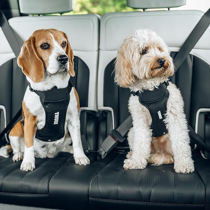 Thule Cappy Dog Harness M - Crash-Tested for Safety - Seatbelt passthrough - Adjustable & Easy to Clean - Padded Breathable mesh Panels - Leash Loop - Step-in Design