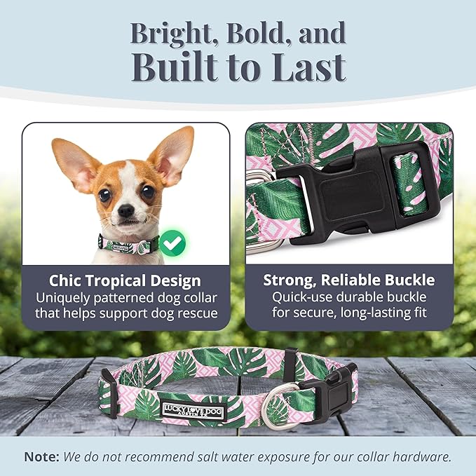 Lucky Love Dog - Adjustable Dog Collar with Easy Click Buckle for Small to Large Ones, Durable, & Comfortable for Male & Female Dogs, Pet Collar for Puppies & Adult Dogs - Laguna, XS