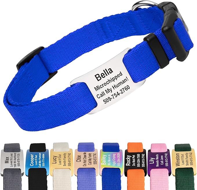 GoTags Personalized Dog Collar with Nameplate, Adjustable Dog Collar with Custom Engraved Slide On Pet ID Tag in Stainless Steel, Silent, No Noise Dog Tag for Large Medium and Small (Blue, Small)