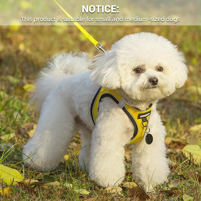 Dog Harness and Leash Set, Dog Harness for Dogs No Pull, No-Chock Step-in Reflective Breathable Lightweight Easy Walk Vest Harnesses with Safety Buckle for Small Medium Dogs, Cats (Yellow, XS)