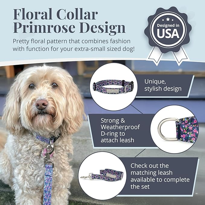 Lucky Love Dog, Comfortable, Soft, Cute Female Dog Collar for Tiny Dogs, Black & Purple Floral Print, Adjustable Nylon Collar, Primrose, XS