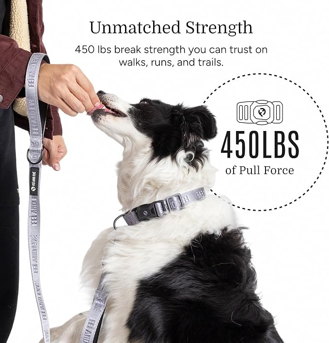 2025 New Edition, Fei & Eve MagEase Dog Collar - Patented Magnetic Buckles | Fur-Safe | Premium 210D Nylon | 450LB Escape-Proof | Adjustable Fit | Small (Twilight Gray)