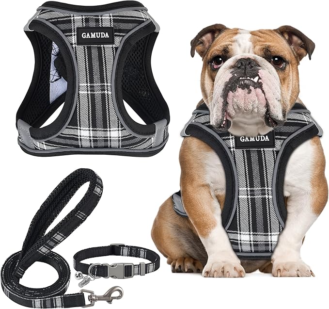 GAMUDA Small Dog Harness Collar and Leash Set, Step in No Chock No Pull Soft Mesh Adjustable Dog Vest Harnesses Plaid Reflective for Dogs Puppy Cats Kitten Rabbit (Black, L)