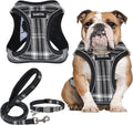 GAMUDA Small Dog Harness Collar and Leash Set, Step in No Chock No Pull Soft Mesh Adjustable Dog Vest Harnesses Plaid Reflective for Dogs Puppy Cats Kitten Rabbit (Black, L)
