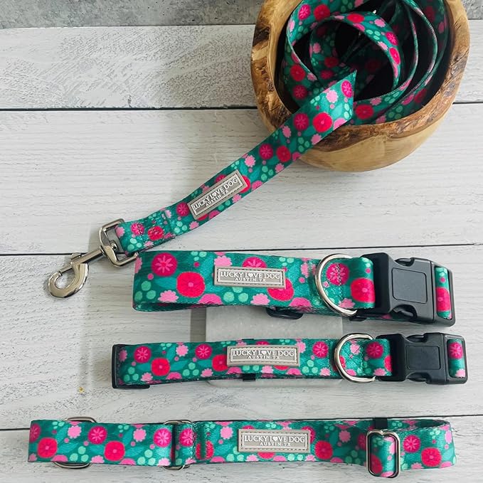 Lucky Love Dog - Adjustable Dog Collar and Leash Set with Easy Click Buckle for Small to Large Dogs, Durable, & Comfortable Collar for Male & Female Dogs, Puppies & Adult Ones - Penny Combo, XS