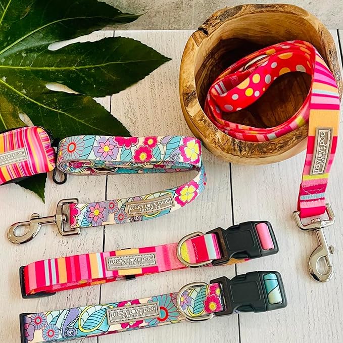 Lucky Love Dog - Adjustable Dog Collar with Easy Click Buckle for Small to Large Ones, Durable, & Comfortable for Male & Female Dogs, Pet Collar for Puppies & Adult Dogs - Molly, XS