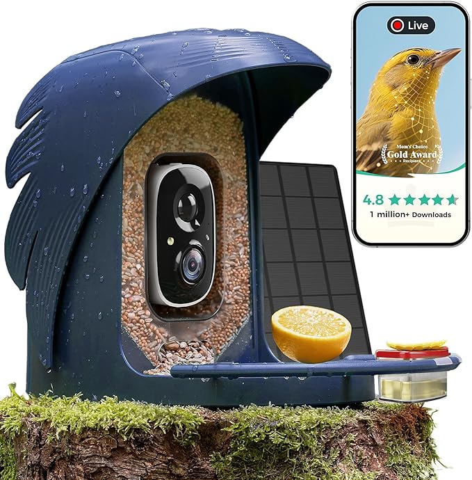 PerchMe® Smart Bird Feeder with Camera, Solar Powered Bird Watching Camera for Outside, 2K HD Auto Capture Motion Detection with AI Identify, DIY Add-ons & Seed Scoop, A Ideal Gift