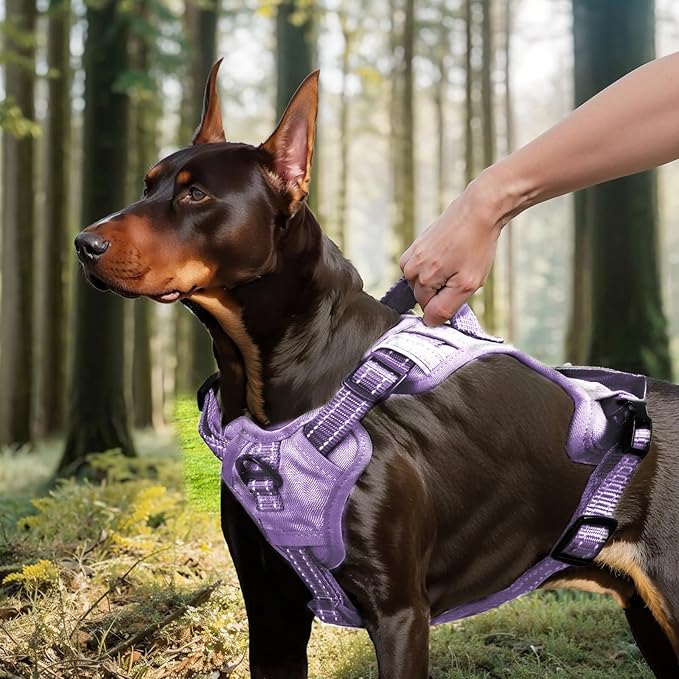 No Pull Dog Harness Medium Sized Dog for Service, Easy Walk, Training - Adjustable Reflective Dog Vest with Handle Easy Control No Choke Metal Buckled Pet Harness (Purple, Small)