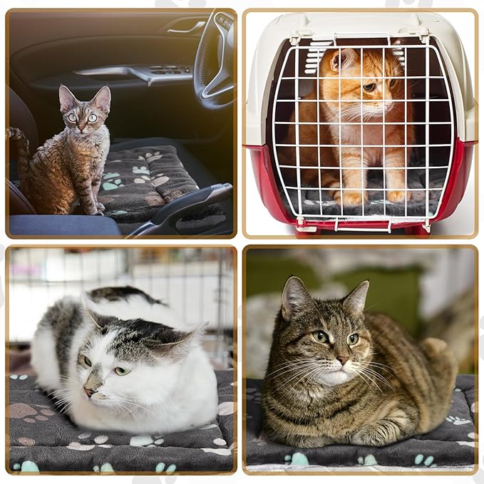 4 Pack Ultra Soft Dog Cat Bed Mat with Cute Prints Reversible Fleece Dog Crate Kennel Pad Cozy Washable Thickened Hamster Guinea Pig Pet Bed Mat for Small Animals(13 x 19 Inches,Black)