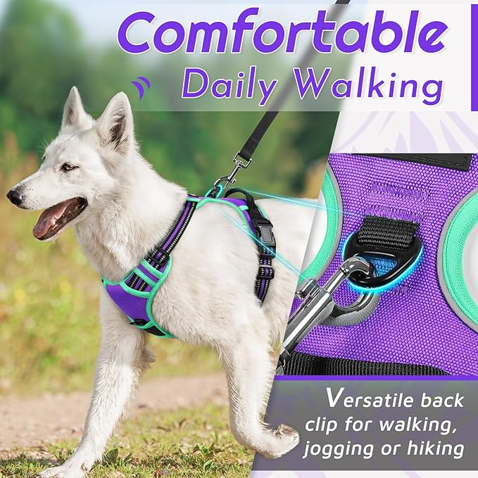 Eagloo Dog Harness Medium Sized Dogs, No Pull Service Vest with Reflective Strips and Control Handle, Adjustable and Comfortable for Walking, No Choke Harness with 2 Metal Rings, Purple & Green, M