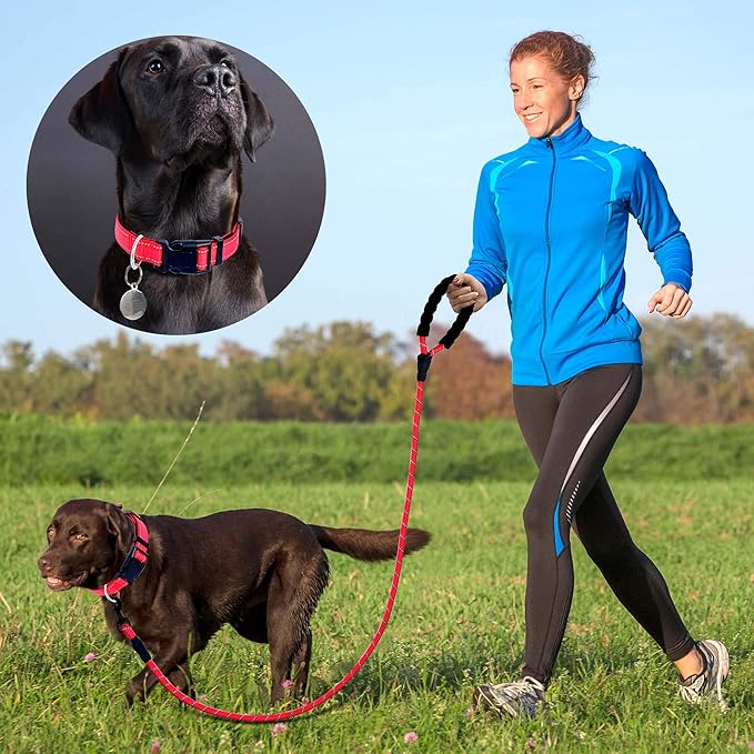 Reflective Dog Collar Padded with Soft Neoprene Breathable Adjustable Nylon Dog Collars for Small Medium Large Dogs (Small (Pack of 1), Red Collar+Leash)