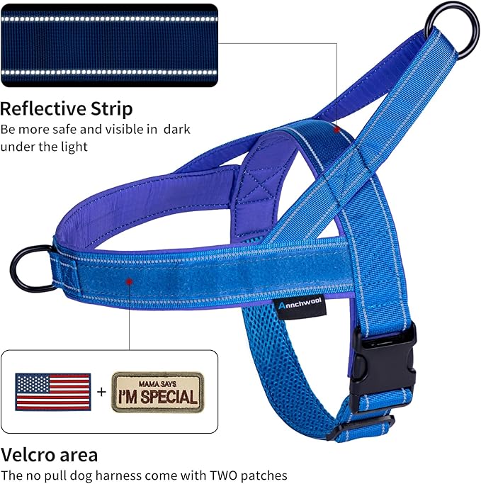 Annchwool No Pull Dog Harness with Padded Handle+5 Ft Leash,Reflective Strip Escape Proof and Quick Fit to Adjust Dog Harness,Easy for Training Walking for Small & Medium and Large Dogs(Blue-Set,XL)