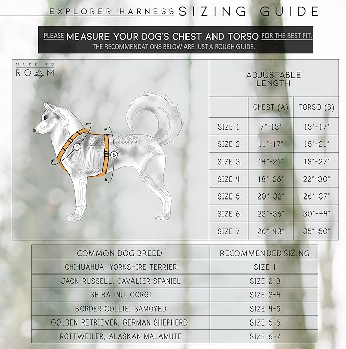 MADE TO ROAM Premium Explorer Harness - Y-Shaped Dog Harness with Adjustable Durable Nylon, Soft Padding, Metal Buckles and Leather Handle for Small, Medium, Large Dogs (Carolina Blooms, Size 6)