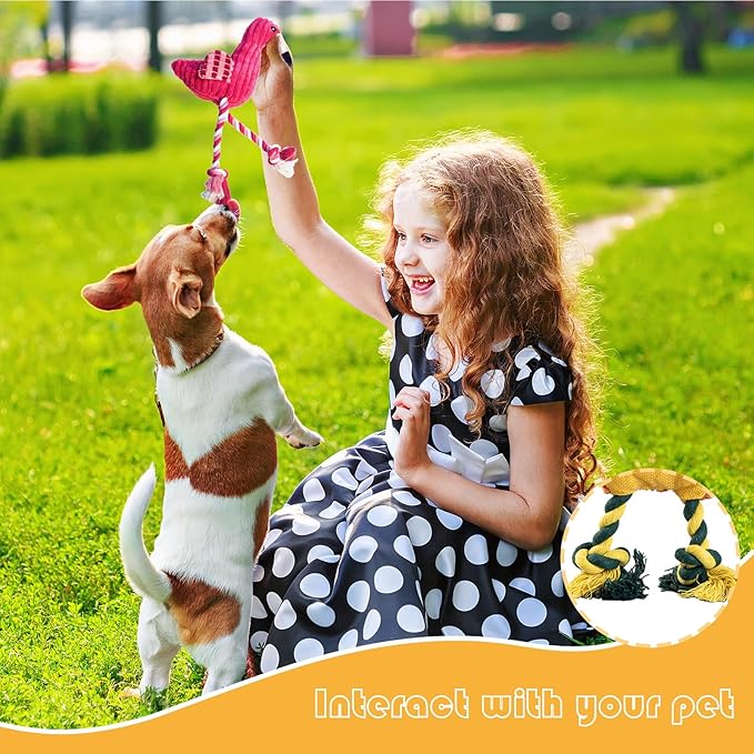 5 Pack Plush Dog Toys with Rope, Squeaky Dog Toys, Tug of War Dog Interactive Toy, Durable Dog Chew Toys for Large Dogs & Puppies