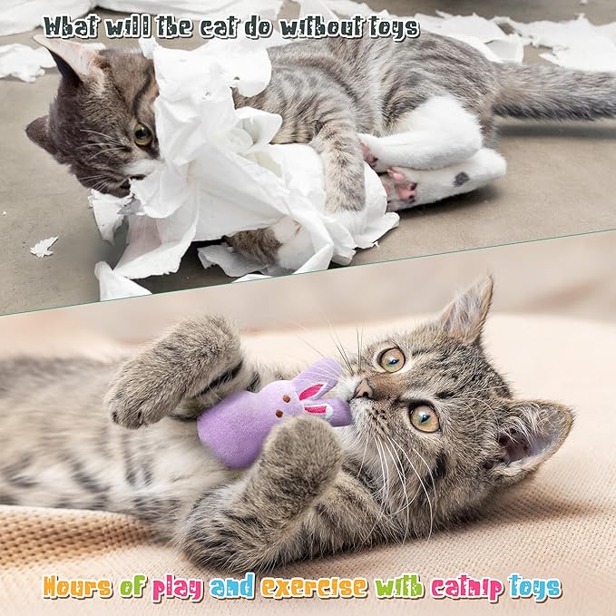 MALLMALL6 5Pcs Easter Bunny Catnip Toys Gift for Cat Lover, Colorful Rabbit with Carrot Pattern Catmint Interactive Toy for Indoor Cats, Soft Pet Presents Supplies, Kitten Teething Chew Kick Set