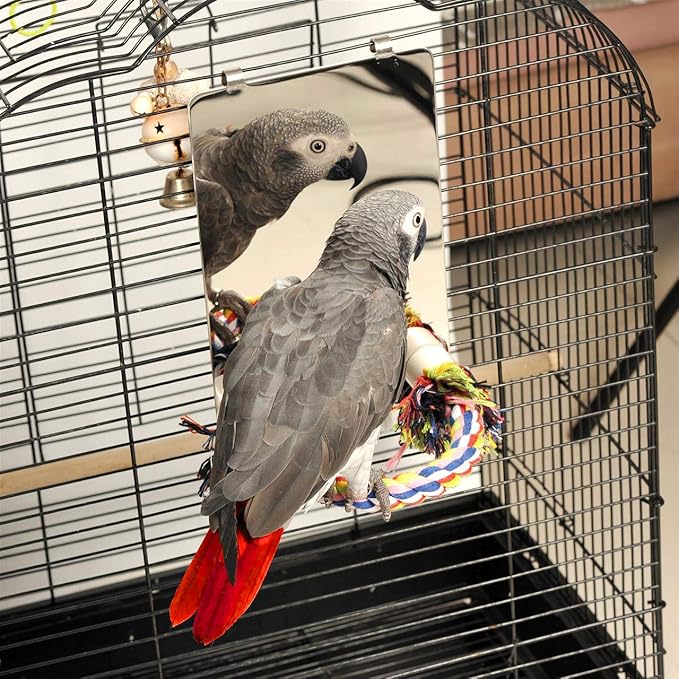 Colorday 9" Bird Mirror with Rope Perch, Bird Swing, Parrot Cage Toys for Parakeet African Grey Conure Cockatiel Lovebird Finch Canarie, Large