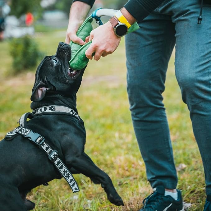Bull Fit Horseshoe Dog Bite Tug Toy - Tug of War Dog Toy for 2 Dogs to Play - Made of Durable & Tear-Resistant French Linen - Safe, Wide & Comfortable Grip - Ideal for Medium to Large Breed Training