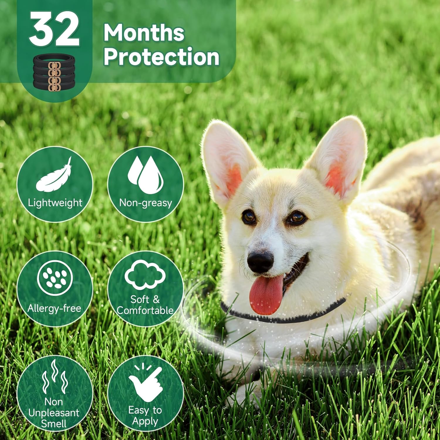 4 Pack Flea Collar for Dogs, Dog Flea and Tick Treatment, 8 Months Protection Flea and Tick Collar for Dogs, Waterproof Dog Flea Collar, Adjustable Collar Flea and Tick Prevention for Dogs,Black