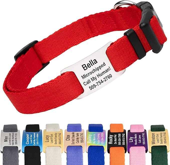 GoTags Personalized Dog Collar with Nameplate, Adjustable Dog Collar with Custom Engraved Slide On Pet ID Tag in Stainless Steel, Silent, No Noise Dog Tag for Large Medium and Small (Red, Small)
