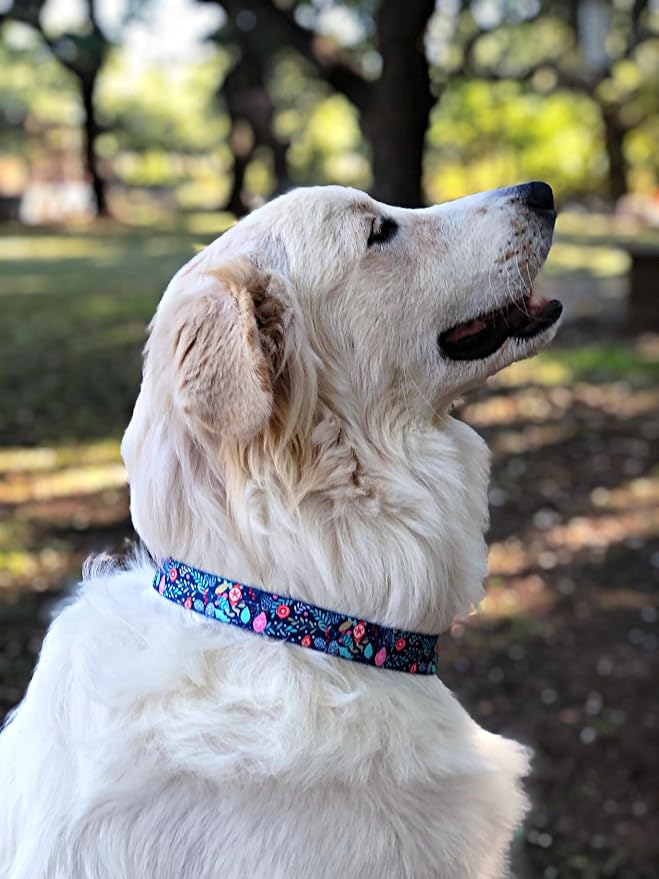 Lucky Love Dog - Adjustable Collar and Leash Set with Easy Click Buckle for Small to Large Dogs, Durable, & Comfortable Collar for Male & Female Dogs, Puppies & Adult - Sweet Holiday Combo, Large