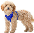 BARKBAY No Pull Dog Harness Large Reflective Dog Harness with Front Clip and Easy Control Handle for Walking Training Running with ID tag Pocket(Sapphire Blue,XS)
