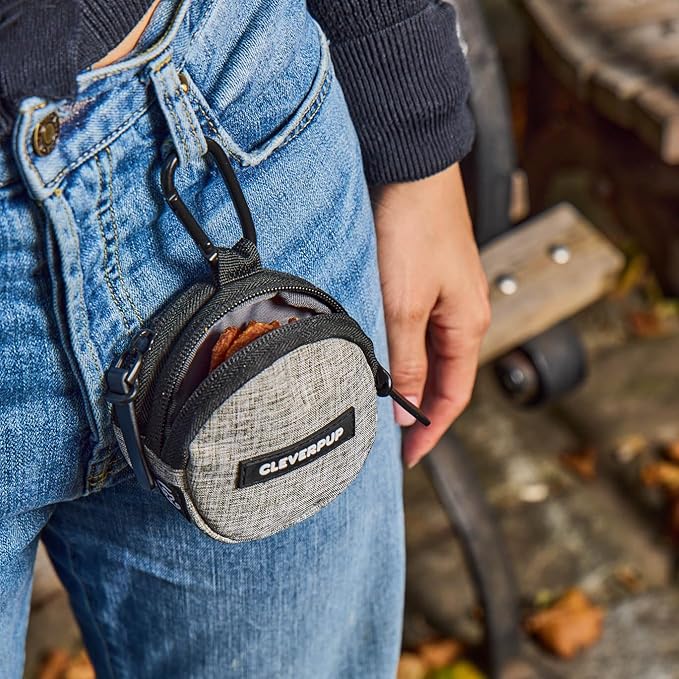 Snackpack Double Insulated Dog Treat Pouch - Holds 1.5 Cups - Dog Training and Walks Snack Bag, Two Pockets for Dry or Wet Treats, Attaches to Leash, Belt, or Bag - Heather Grey