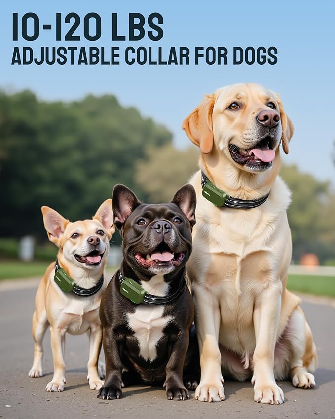 Jugbow Dog Shock Collar - 4500FT Dog Training Collar with Remote, IPX8 Waterproof Electric Dog Collar with 4 Training Modes, Security Lock, Rechargeable eCollar for 10-120lbs Small Medium Large Dogs