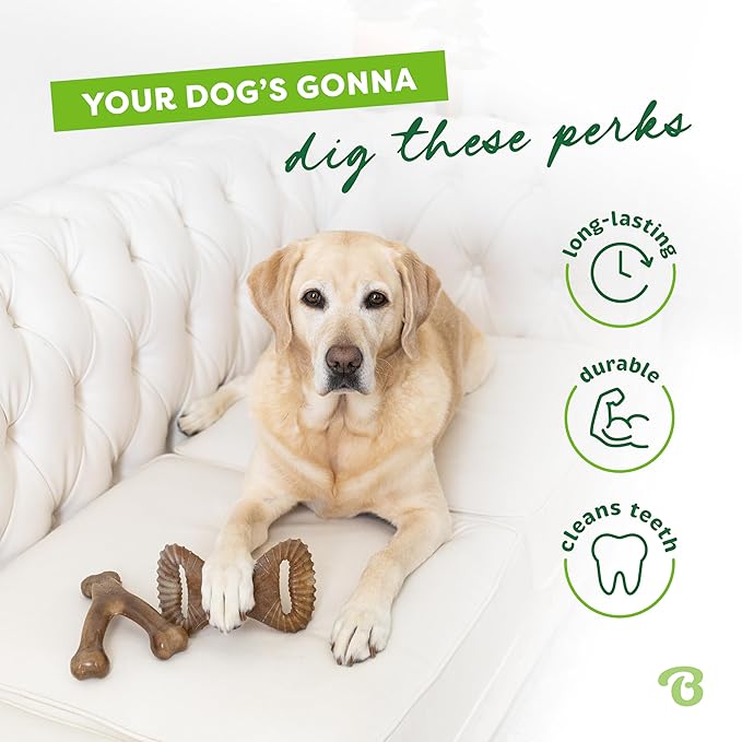 Benebone 2-Pack Wishbone/Dental Durable Dog Chew Toys, Real Bacon, Made in USA, Large