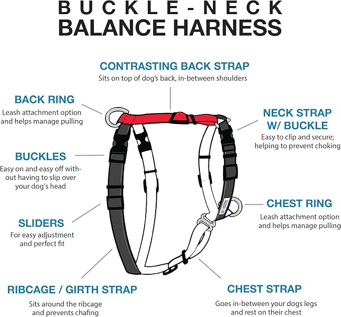 Blue-9 Buckle-Neck Balance Harness, Fully Customizable Fit No-Pull Harness, Ideal for Dog Training and Obedience, Made in The USA, Red, Large