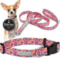 Lucky Love Dog - Easy Click Buckle Dog Collar with Leash Set Combo, Durable & Comfortable for Male & Female Dogs, Pet Collar for Small to Large Dogs, Secure Fit - Floral Rosie Combo, X-Small
