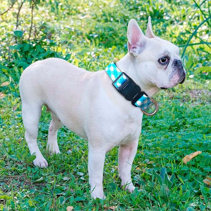 Reflective Dog Collar Padded with Soft Neoprene Breathable Adjustable Nylon Dog Collars for Small Medium Large Dogs (X-Small (Pack of 1), Vivid Blue Plaid Collar+Leash)