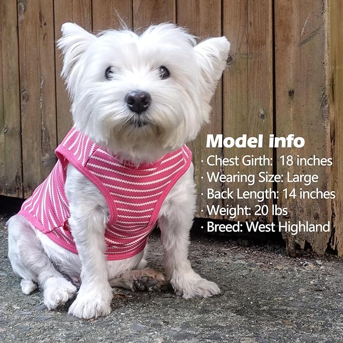 KYEESE 2Pack Dog Shirts Striped for Small Dogs Soft Stretchy Dog T-Shirts Lightweight Tank Top Sleeveless Vest Breathable Cat Outfit, Small, Rose Red+Blue