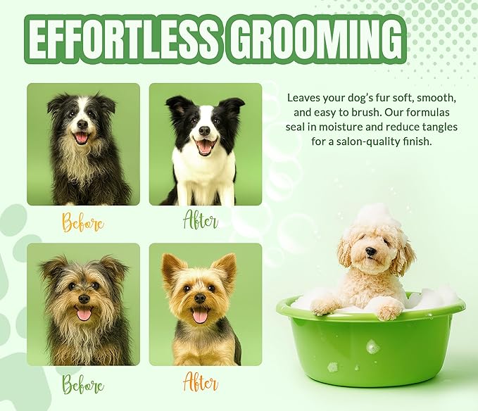 ALFIE'S CHOICE Fresh & Clean Dog Shampoo and Conditioner Set | 16 fl oz Each | Lavender & Rosemary | Deep Cleansing for Smelly Dogs | Deodorizing & Odor Control