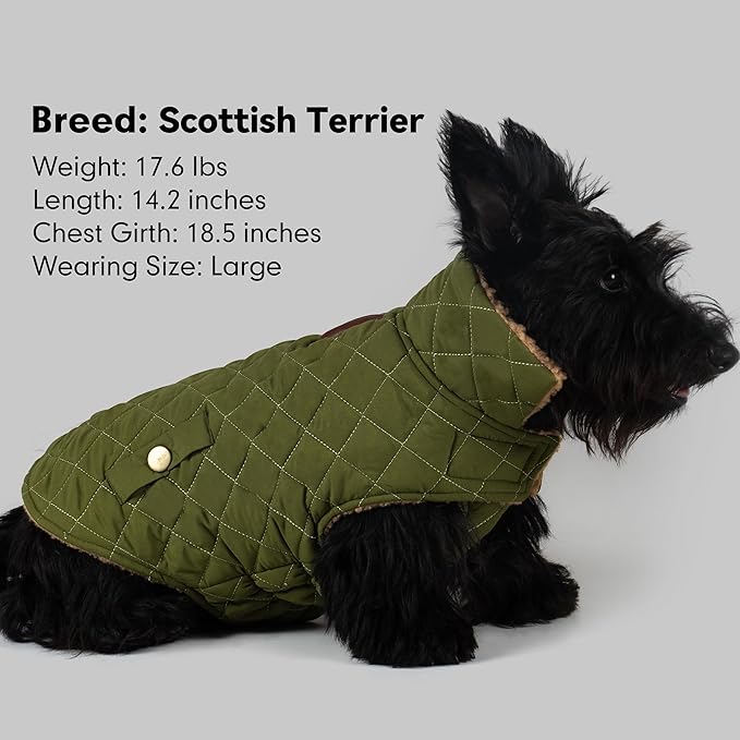 azuza Dog Jacket Waterproof & Windproof Dog Coat for Small Dogs with Thick Fleece, High Collar with Leash Hole, Adjustable Velcro & Elastic Belly, Army Green L