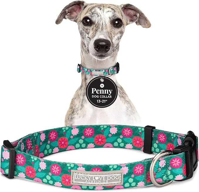 Lucky Love Dog - Adjustable Dog Collar with Easy Click Buckle for Small to Large Dogs, Durable, & Comfortable for Male & Female Dogs, Pet Collar for Puppies & Adult Ones - Penny, Medium