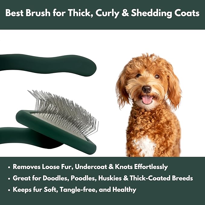 Premium Dog Slicker Brush – Doodle Grooming Brush for Long Haired Dogs - Goldendoodle, Labradoodle, Poodle & Golden Doodle – Ideal for Wavy & Curly Hair - Detangles & Fluffs Curly, Double Coats