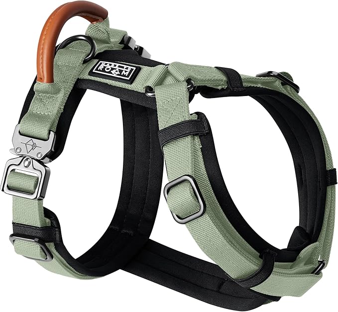 MADE TO ROAM Premium Explorer Harness - Y-Shaped Dog Harness with Adjustable Durable Nylon, Soft Padding, Metal Buckles and Leather Handle for Small, Medium, Large Dogs (Washington Rain, Size 4)