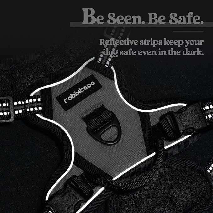 rabbitgoo Dog Harness No Pull with 2 Leash Clips, Adjustable Soft Padded, Reflective Oxford No Choke Pet Vest with Easy Control Handle for Puppy, Grey, XS