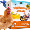 Dried Mealworms 10LB - Non-GMO Meal Worms for Chickens & Birds - Insect Protein Poultry Feed, Natural Chicken Worms ideal for Wild Birds, Reptile Tasty Bird Treats, Laying Hens,Bird Seed Alternative