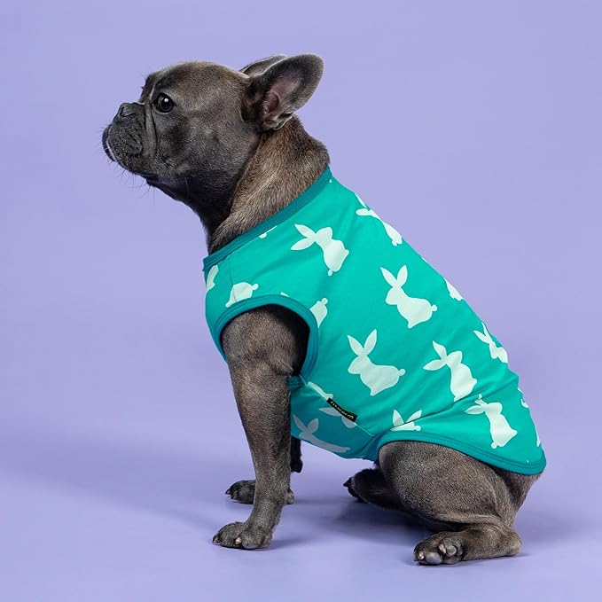 Fitwarm Easter Bunny Dog Shirt, Dog Clothes for Small Dogs Boy Girl, Pet Cat Holiday Outfit, Teal Green, Large